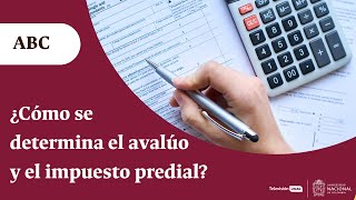 ¿Qué es el catastro y avalúo catastral ¿Cómo se determina el avalúo y el impuesto predial  ABC [upl. by Derron]