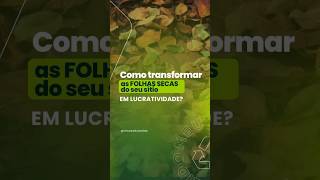 Como transformar as folhas secas do seu sítio em LUCRATIVIDADE [upl. by Stenger65]