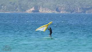 Merimbula NSW Wingfoiling ready for the Raging Bull Surf Classic [upl. by Hutchings29]