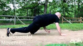 Quadrupedal Movement Parkour Training and Conditioning [upl. by Mareld]