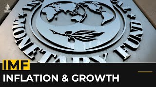 IMF forecasts continued high inflation in 2024 [upl. by Norrehs]