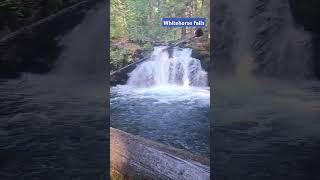 Whitehorse falls nature waterfalls travel [upl. by Naquin]