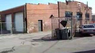 Cummins Diesel 4bt Jeep YJ back alley drive by [upl. by Sherar]