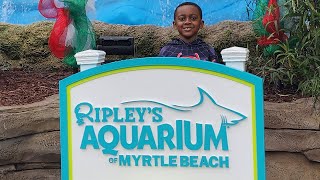 Ripleys Aquarium of Myrtle Beach [upl. by Rosamund375]