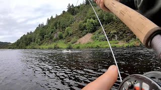 SALMON FISHING  River Findhorn  Drynachen  Scotland  2020 [upl. by Llednohs]