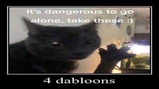 4 dabloons cat multiuniverse [upl. by Gilpin]