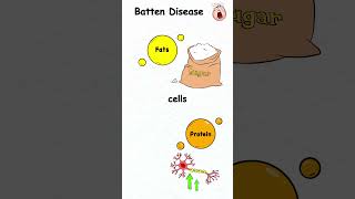 Every DEADLY Genetic Mutation Explained  Part 1 [upl. by Darcia]