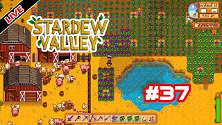 Live Stardew Valley SS3 EP37  วานก่อนได้เงิน 2000000 ใช้แค่ ep เดียวก็หมดแล้ว [upl. by Wolfgram236]