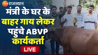 Lumpy Skin Disease Protest मंत्री के घर के बाहर गाय लेकर पहुंचे ABVP कार्यकर्ताI Zee Rajasthan Live [upl. by Akamahs92]