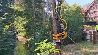 Safely and efficiently clear dead trees in Switzerland with the GMT035 TTC grapplesaw [upl. by Lledyr]