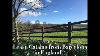 Learn Catalan language Catalan conversation intermediate [upl. by Barby]