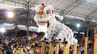 冠軍隊  臺灣基隆長興呂師父龍獅團 2013 International Lion Dance Competition 2013 [upl. by Aibonez]