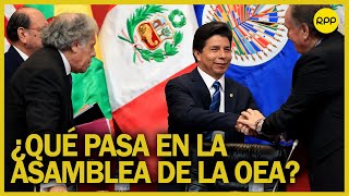 Asamblea de la OEA ¿Estados realmente trabajarán por la integración ResumenADN [upl. by Rika]