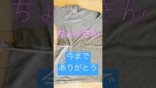 Tシャツの最後のお仕事＃断捨離リサイクル＃おそうじ [upl. by Dygal922]