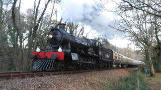 South Devon Railway Polar Expressat Staverton Friday 26th November 2021 [upl. by Emery]