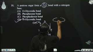 A pentose sugar form a bond with a nitrogen base [upl. by Perrine]