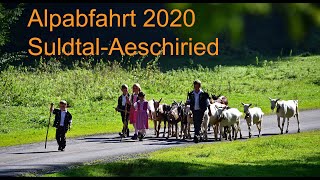 Alpabzug 2020 Aeschiried [upl. by Trebled]