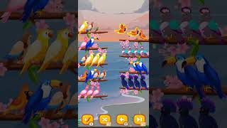 pakshi gaming viralvideo ytshorts trending subscribe play store Birds short [upl. by Ashely]