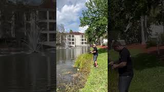 Tilapia Fishing in Orlando Florida fish fishing viral shorts nature [upl. by Nitsugua]