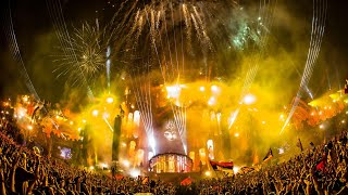 David Guetta  Titanium ft Sia Alesso Remix Live  Tomorrowland 2015 [upl. by Akemot94]