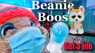 Beanie Boos Find a Job [upl. by Mcgrody]