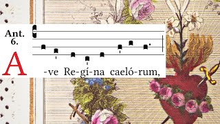 Ave Regina caelorum  Simple tone  Marian Antiphon  Learn Gregorian Chant [upl. by Yrahk]