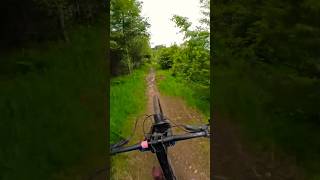 ‘Your honour… I rest my case’ 😂 mtb mtbdownhill gopro12 [upl. by Witherspoon]