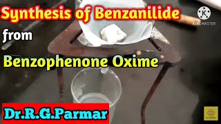 Synthesis of Benzanilide from Benzophenone oxime  Recrystallization [upl. by Nlyak]