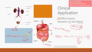 Urine Anion Gap [upl. by Thalassa]