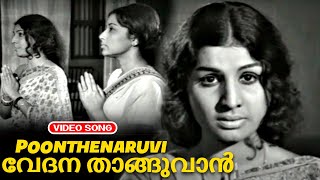 Jayabharathi Romantic Superhit Song  Poonthenaruvi  Nanditha Bose Prem Nazir [upl. by Refinneg440]