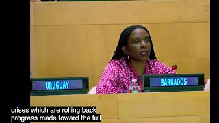 ECOSOC 2023 Remarks form Kereeta Whyte Deputy Permanent Representative of Barbados to the UN [upl. by Adok]