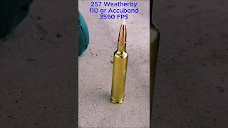 257 Weatherby at 1000 yards [upl. by Eiduam]