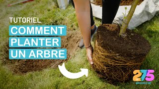 Comment bien planter son arbre [upl. by Enyalb]