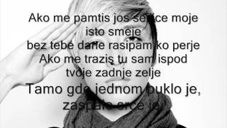 Milan Stankovic  Perje 2011 tekst [upl. by Norvun306]