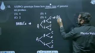 AABbCc genotype forms how many type of gametes are produce [upl. by Ful]