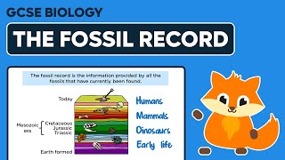 The Fossil Record  GCSE Biology [upl. by Nangem766]