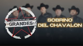 Sobrino Del Chavalon  Herencia De Grandes Vídeo Lyrics Cover [upl. by Donaghue]