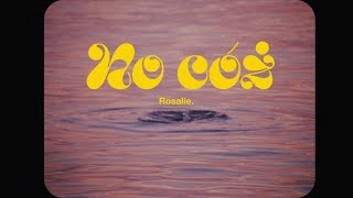 Rosalie  Hologram Official Music Video [upl. by Niwled]