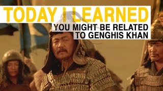 TIL You Might Be Related to Genghis Khan  Today I Learned [upl. by Rotkiv]