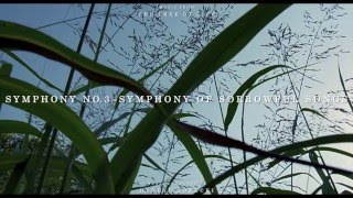 quotThe Tree of Lifequot Soundtrack  Symphony No 3  Symphony of Sorrowful Songs [upl. by Oxley]