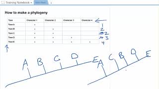 Practice with Phylogenies [upl. by Natsirt]