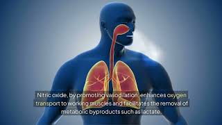 Go Beyond Your Endurance Boundaries  Citrulline vs Arginine [upl. by Rasure]