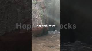 Visit to Hopewell Rocks Provincial Park in June 2024 [upl. by Aelegna]