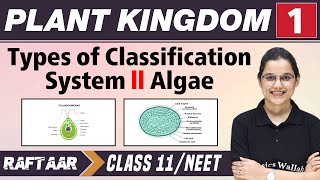 Plant and Kingdom 01  Types of Classification System  Algea  Class 11NEET [upl. by Eirrahs153]