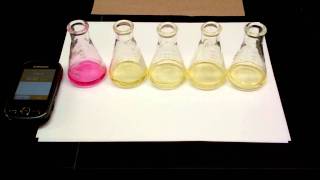 Hydrolysis of tButylChloride Kinetics Experiment 5 SN1 Reaction [upl. by Sussi654]