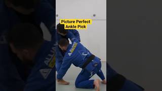 Ankle Pick Takedown bjj jiujitsu [upl. by Clemens]