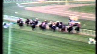 LA MER NZ 1976 Gold Trail Stakes [upl. by Ihculo]