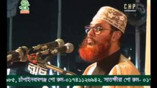 Delwar Hossain Sayeedi Allah Siristir Bishalota [upl. by Eseila]