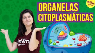 ORGANELAS CITOPLASMÁTICAS CITOLOGIA  Resumo de Biologia para o Enem [upl. by Drusilla]