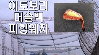 이토보리 머슬백 숏 미들 아이언 연습 [upl. by Rena]